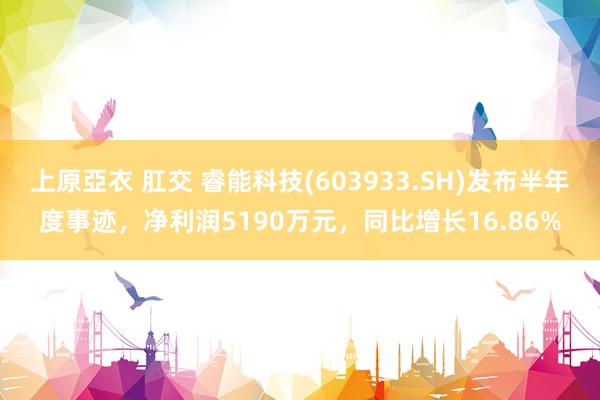 上原亞衣 肛交 睿能科技(603933.SH)发布半年度事迹，净利润5190万元，同比增长16.86%