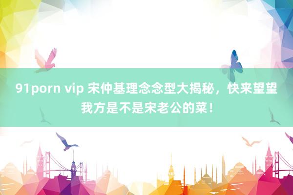 91porn vip 宋仲基理念念型大揭秘，快来望望我方是不是宋老公的菜！