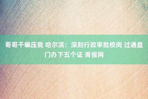 哥哥干嘛压我 哈尔滨：深刻行政审批校阅 过通盘门办下五个证 青报网