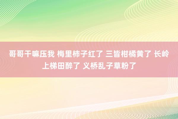 哥哥干嘛压我 梅里柿子红了 三皆柑橘黄了 长岭上梯田醉了 义桥乱子草粉了