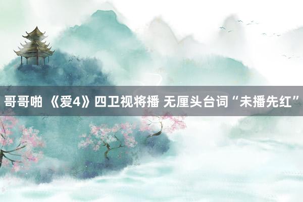 哥哥啪 《爱4》四卫视将播 无厘头台词“未播先红”