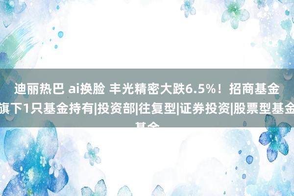 迪丽热巴 ai换脸 丰光精密大跌6.5%！招商基金旗下1只基金持有|投资部|往复型|证券投资|股票型基金