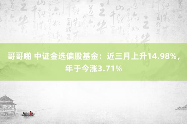 哥哥啪 中证金选偏股基金：近三月上升14.98%，年于今涨3.71%