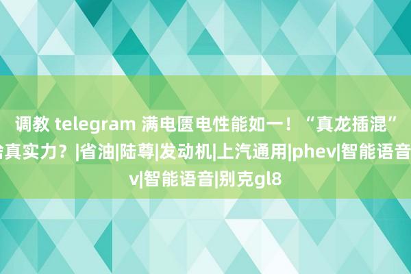 调教 telegram 满电匮电性能如一！“真龙插混”到底有啥真实力？|省油|陆尊|发动机|上汽通用|phev|智能语音|别克gl8