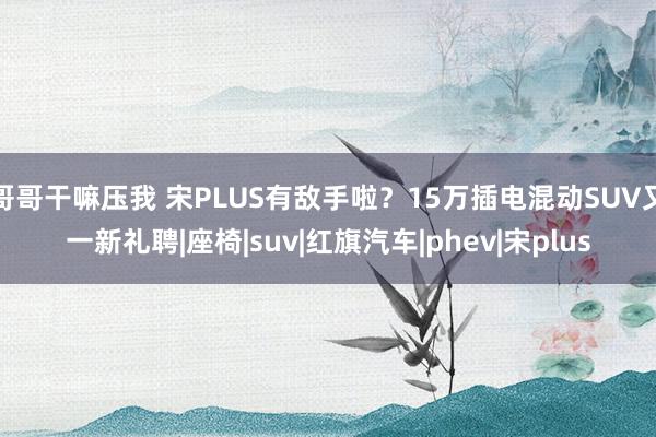 哥哥干嘛压我 宋PLUS有敌手啦？15万插电混动SUV又一新礼聘|座椅|suv|红旗汽车|phev|宋plus