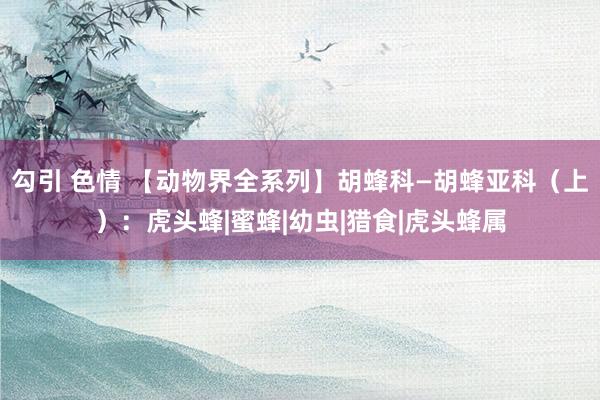 勾引 色情 【动物界全系列】胡蜂科—胡蜂亚科（上）：虎头蜂|蜜蜂|幼虫|猎食|虎头蜂属