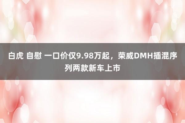 白虎 自慰 一口价仅9.98万起，荣威DMH插混序列两款新车上市