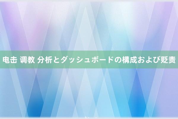 电击 调教 分析とダッシュボードの構成および贬责